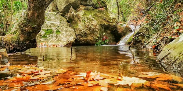 Ένα ποτάμι της Σάμου σε φθινοπωρινά χρώματα.